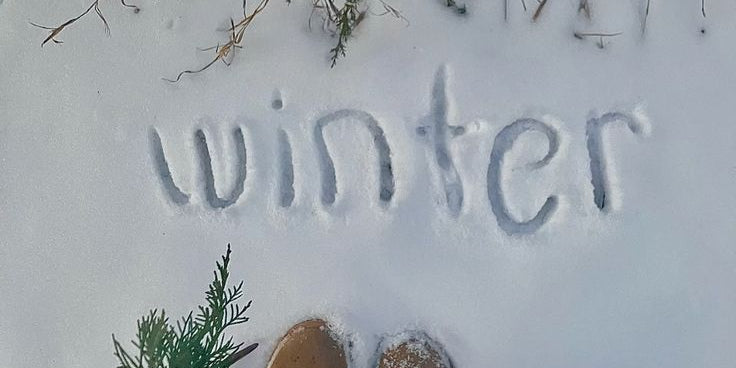 Salty Collection Hiver