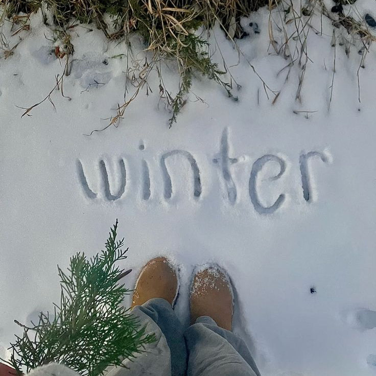 Salty Collection Hiver