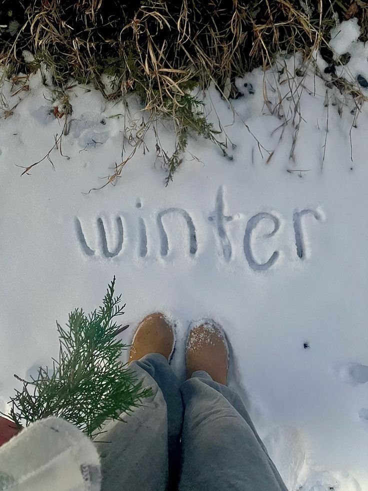 Salty Collection Hiver